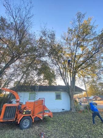 6mi Sep 14 AERATION AND SEEDING , LEAF REMOVAL,TREE PRUNING AND GUTTER CLEANING (Edwardsville) 61mi Sep 22 Gutter cleaningguard pressure wash siding and deckstrim tree branches (cou > Columbia) pic 75. . Craigslist tree trimming